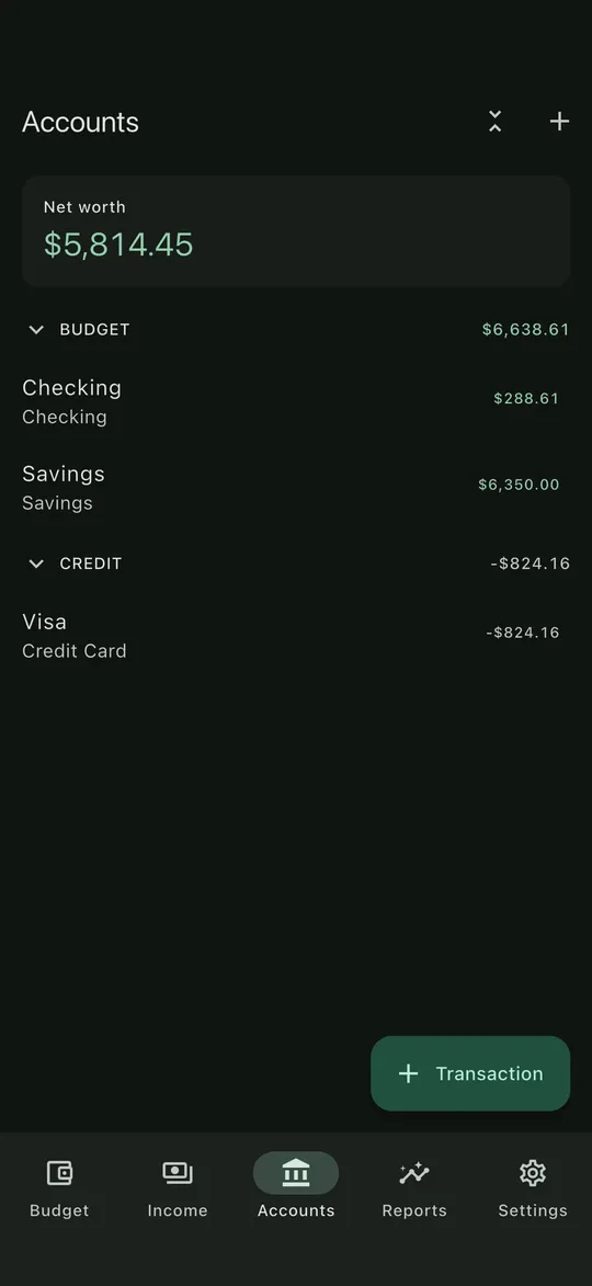Opulent Budget screenshot 3